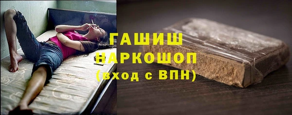 индика Заволжье