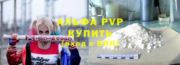индика Заволжье