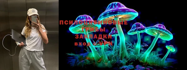 индика Заволжье