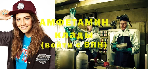 индика Заволжье