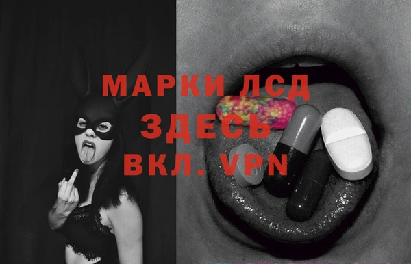 индика Заволжье