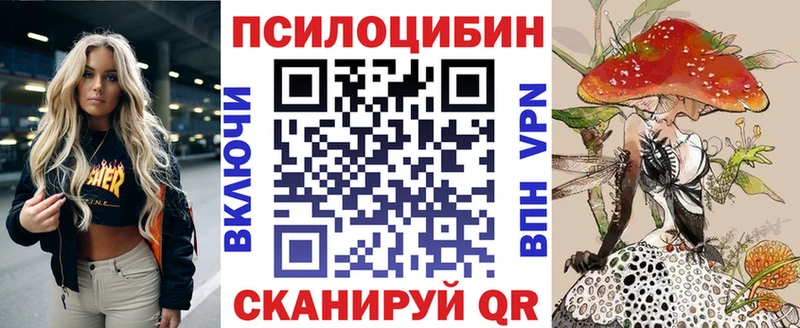 Купить  Голицыно  Галлюциногенные грибы Psilocybine cubensis 