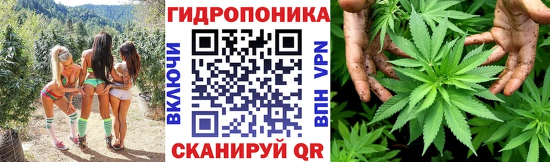 Шишки марихуана White Widow Купить закладки Голицыно